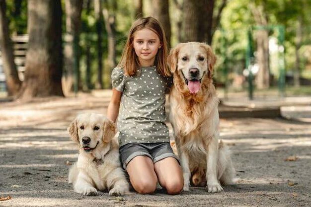 Tout savoir sur les friandises de mastication et les produits naturels pour chien de toutes races, chiot ou adulte