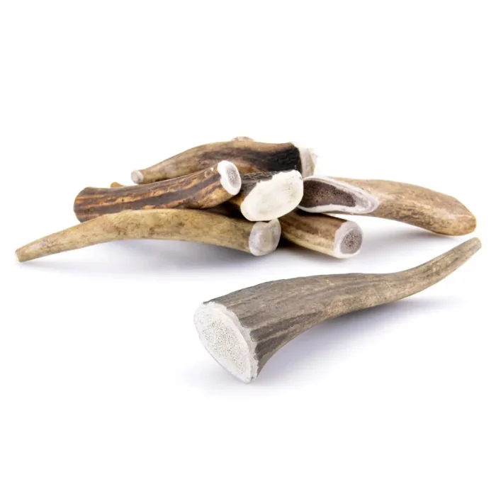 cernunos bois cerf chien entier friandise pour la vitalité et la santé de votre chien