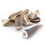 Gamme cernunos bois de cerf entier la friandise par excellence pour la vitalité et la santé de votre chien