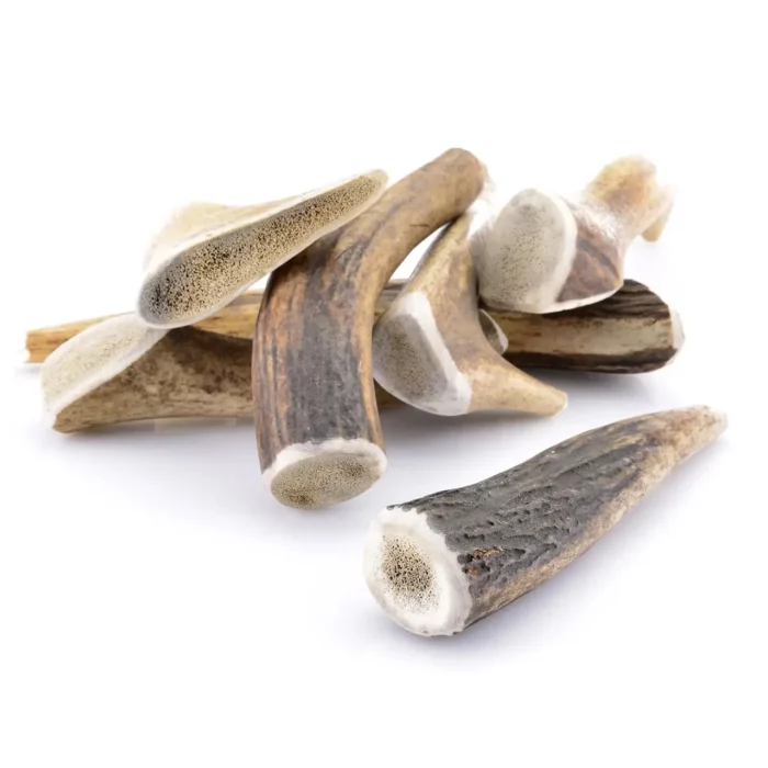 Gamme cernunos bois de cerf entier la friandise par excellence pour la vitalité et la santé de votre chien