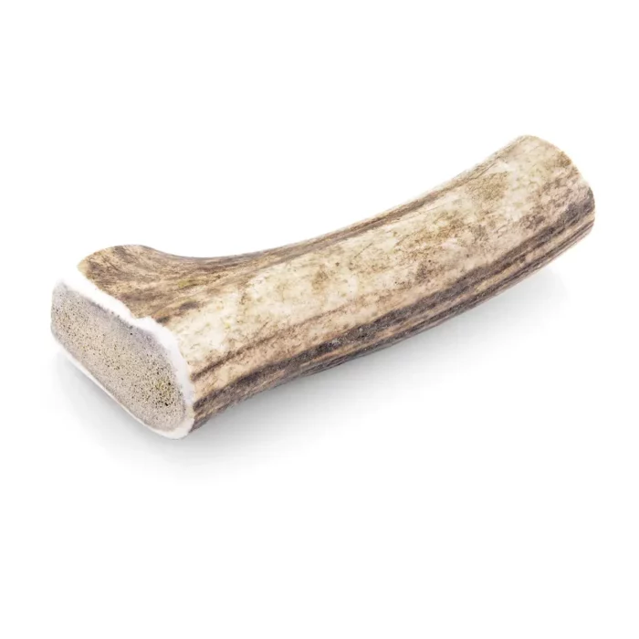 cernunos bois cerf chien entier friandise pour votre chien