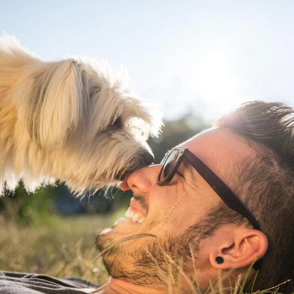 Chien heureux avec son maitre