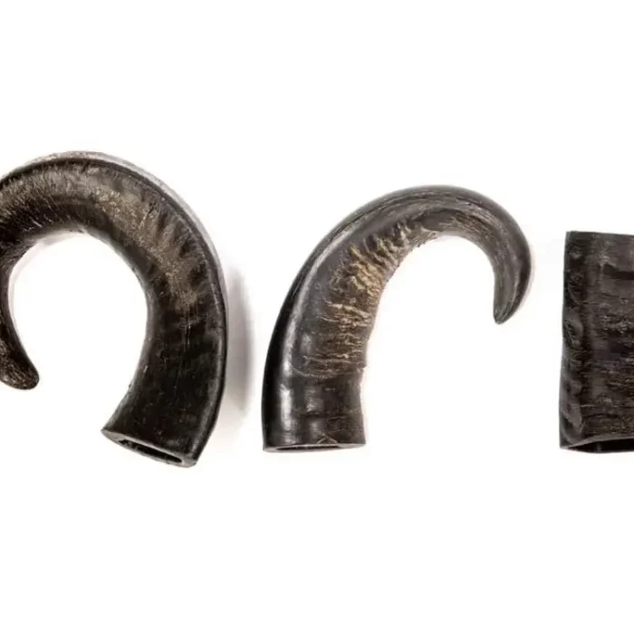 cernunos corne grand modele de buffle fabrication française pour la santé de votre chien friandise a macher de la boutique Os et Patoune