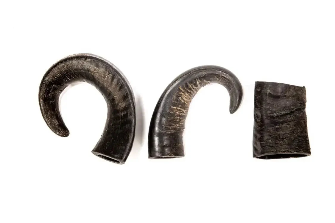 cernunos corne grand modele de buffle fabrication française pour la santé de votre chien friandise a macher de la boutique Os et Patoune