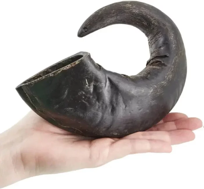 cernunos corne de buffle fabrication française pour votre chien qualité garantie