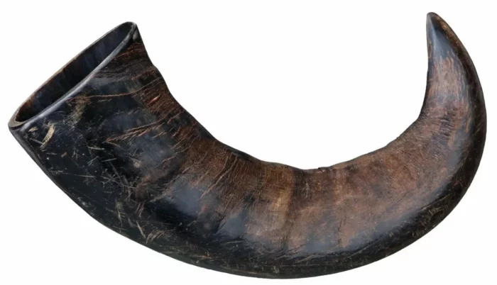 corne de buffle fabrication française pour votre chien qualité garantie