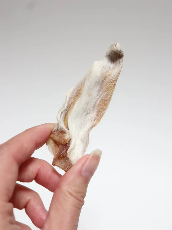 oreille de lapin pour chien qualité française