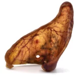 oreille de porc de taille XL Boutique Os et Patoune alimentation pour chien qualité française