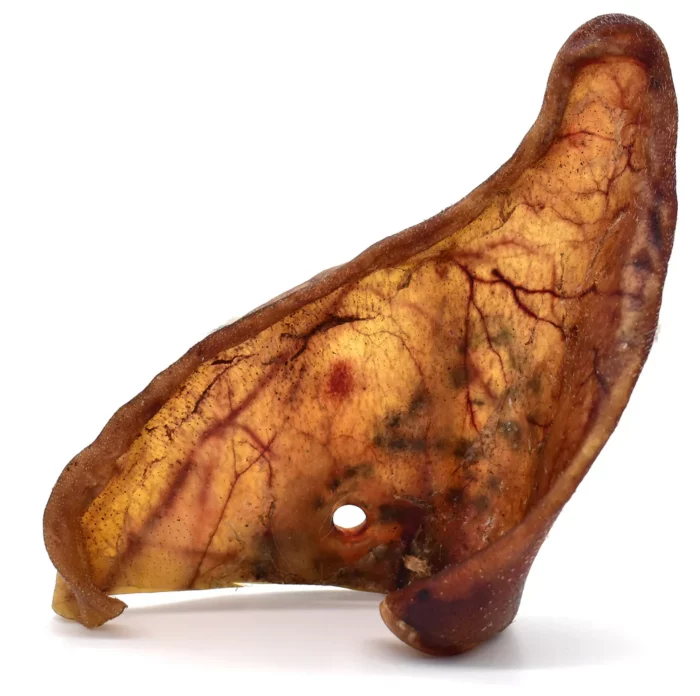 oreille de porc de taille XL Boutique Os et Patoune alimentation pour chien qualité française