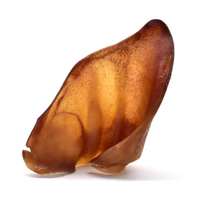 oreille de porc de taiulle normale Boutique Os et Patoune alimentation pour chien qualité française en sachets