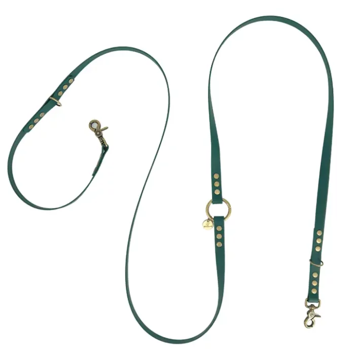 Laisse robuste de qualité pour chien multiposition Emeraude . Boutique os et patoune, produits alimentation, friandises, accessoires, jouets pour chiens