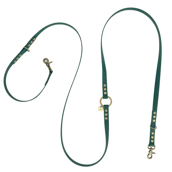 Laisse robuste de qualité pour chien multiposition Emeraude . Boutique os et patoune, produits alimentation, friandises, accessoires, jouets pour chiens