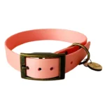 collier par cher de qualité pour chien bonbon rose. Boutique os et patoune
