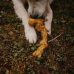 Cocoballe jouet à macher sans danger pour chien solide et pas cher en corde de coco. Alimentation et friandises pour chiens