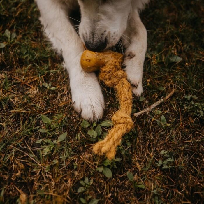 Cocobone jouet sans danger pour mon chien à mâcher pour chien en bois de café et corde de noix de coco, Robuste & durable : adapté à une mastication intense, tout en restant léger et entièrement végétalien, sans plastique ni ingrédient artificiel