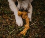 Cocobone jouet sans danger pour mon chien à mâcher pour chien en bois de café et corde de noix de coco, Robuste & durable : adapté à une mastication intense, tout en restant léger et entièrement végétalien, sans plastique ni ingrédient artificiel