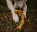 Cocobone jouet sans danger pour mon chien à mâcher pour chien en bois de café et corde de noix de coco, Robuste & durable : adapté à une mastication intense, tout en restant léger et entièrement végétalien, sans plastique ni ingrédient artificiel
