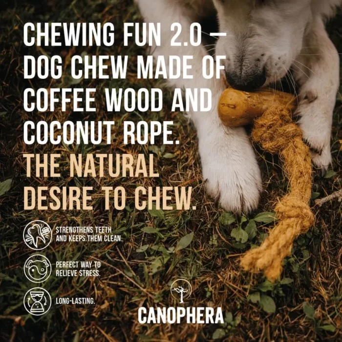 jouet sans danger pour mon chien à mâcher pour chien en bois de café et corde de noix de coco Produits Naturels et Accessoires pour Chiens