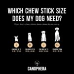jouet solide pour chien destructeur à mâcher pour chien en bois de café et corde de noix de coco Produits Naturels et Accessoires pour tous les tailles de Chiens