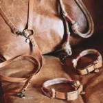 collier pour chien biothane marron et paracorde tartan.