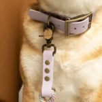 collier et laisse fait par un créateur français pour chien biothane mauve lavande. Boutique os et patoune