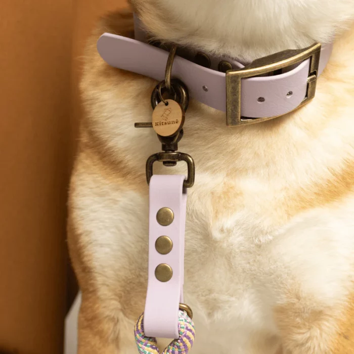 collier et laisse fait par un créateur français pour chien biothane mauve lavande. Boutique os et patoune