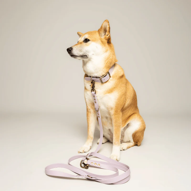 laisse fait par un créateur français resistante pour chien multiposition biothane mauve lavande. Accessoires, jouets