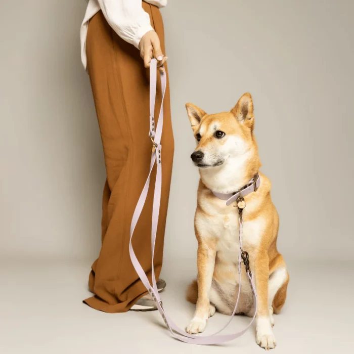 laisse fait par un créateur français pas cher chien multiposition biothane mauve lavande. Accessoires, jouets pour chiens