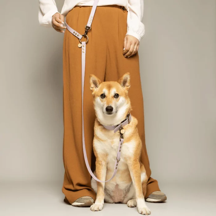 laisse fait par un créateur français chien multiposition pas cher fabriqué en france biothane mauve lavande. Accessoire solide et design pour chien.