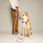 laisse fait par un créateur français chien multiposition pas cher biothane mauve lavande. Accessoire solide et design pour chien.