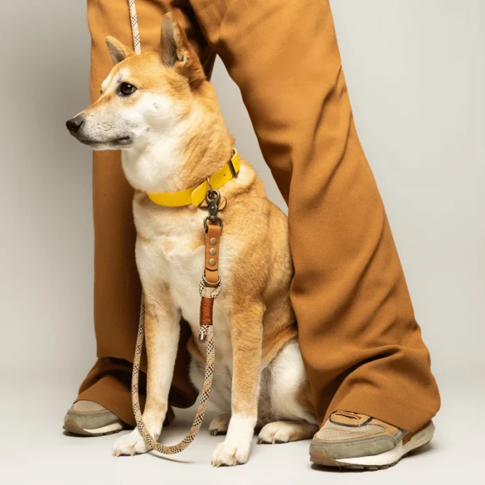 laisse fait par un créateur français pour chien 3 points multiposition paracorde tartan biothane montmartre. Qualité de fabrication soignée