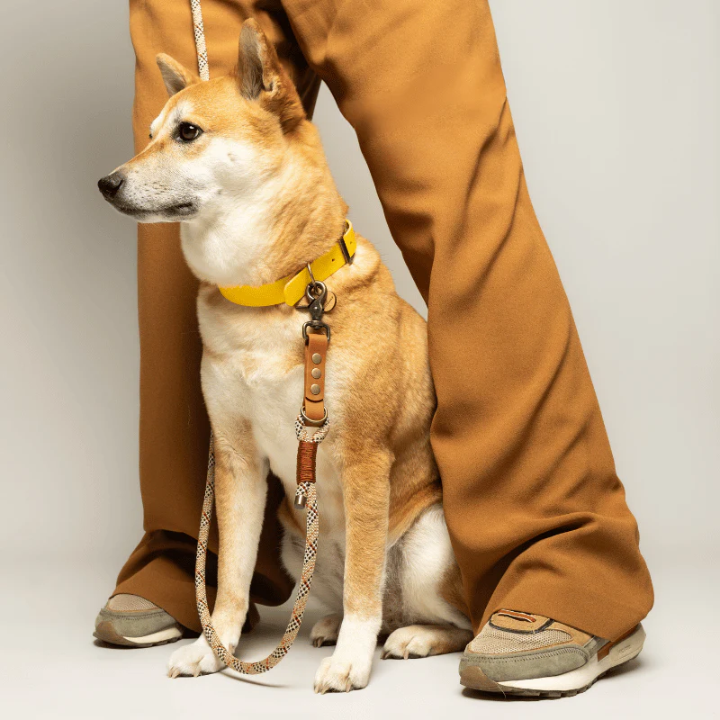 laisse fait par un créateur français pour chien 3 points multiposition paracorde tartan biothane montmartre. Qualité de fabrication soignée