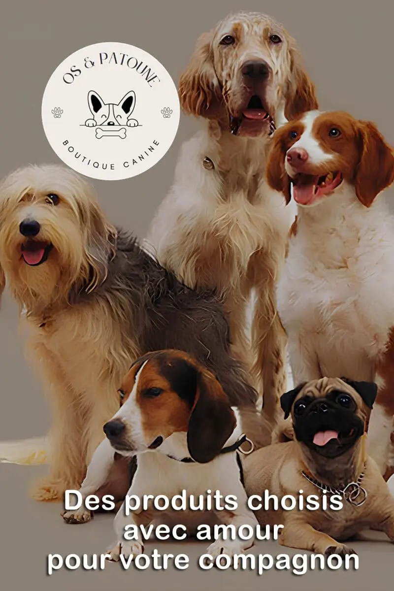 Boutique canine os et patoune produits naturels alimentation croquettes mastication friandises collier et laisses pour chiens