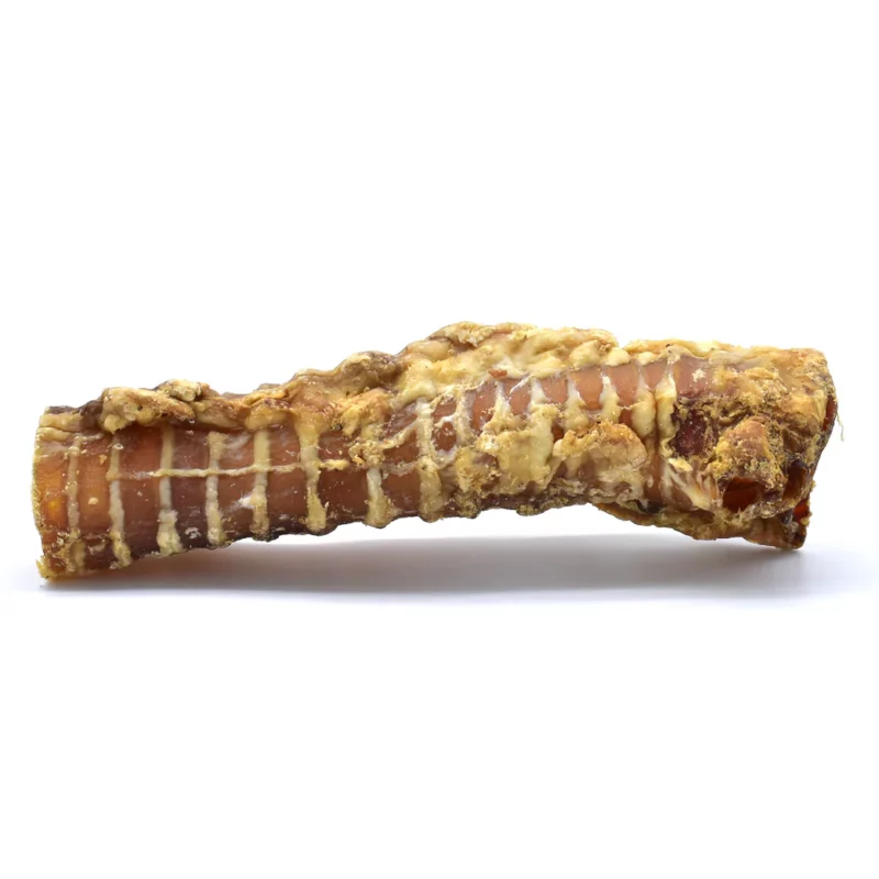 trachée de boeuf mastication pour la santée de votre chien