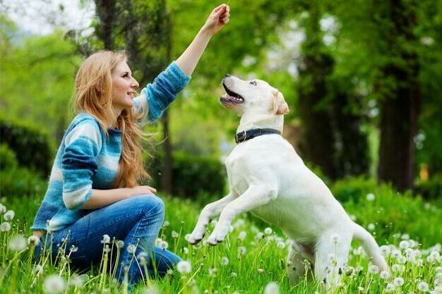 jouet de qualité naturelle pour chien choisir des produits naturels boutique canine os et patoune