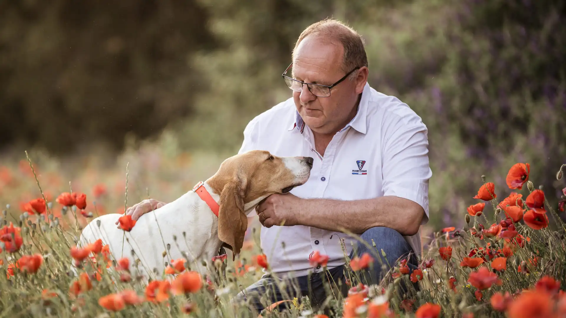 boutique canine os et patoune alimentation croquettes pour chien colliers laisses harnais jouets