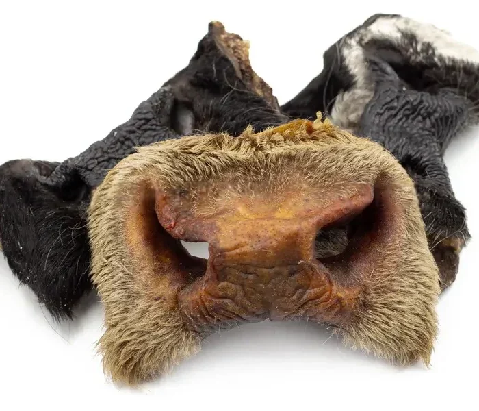 museaux de boeuf pour chien avec poil boutique canine os et patoune mastication