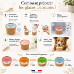 Les glaces BIO pour chien – Image 2