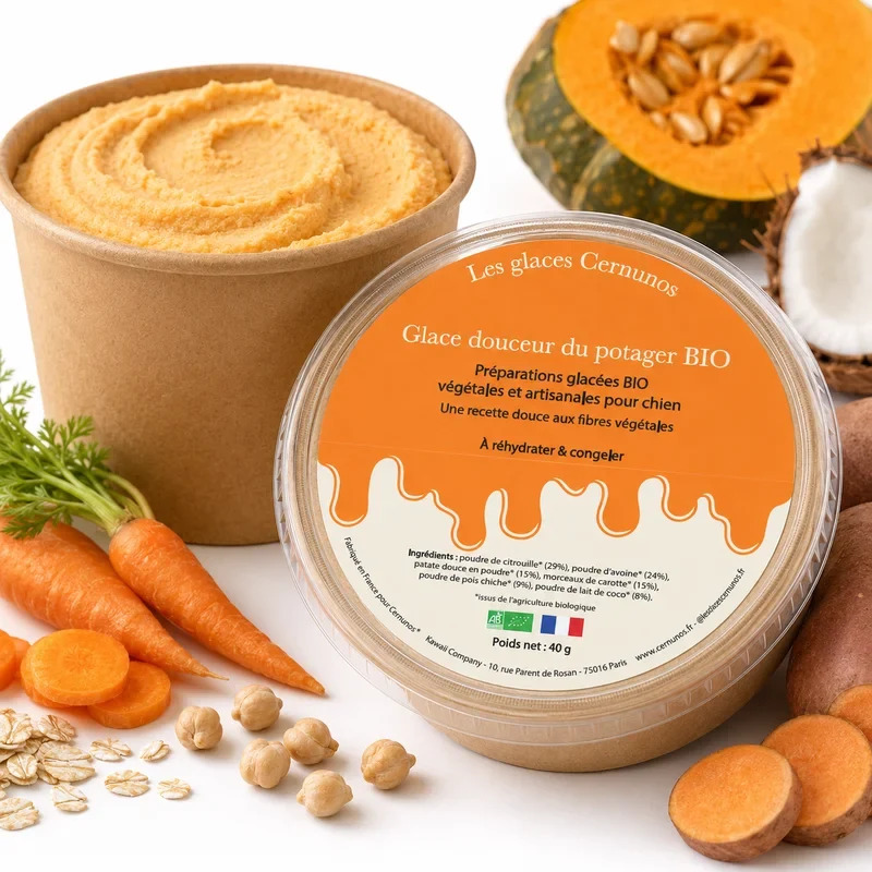 Les glaces BIO pour chien – Image 5